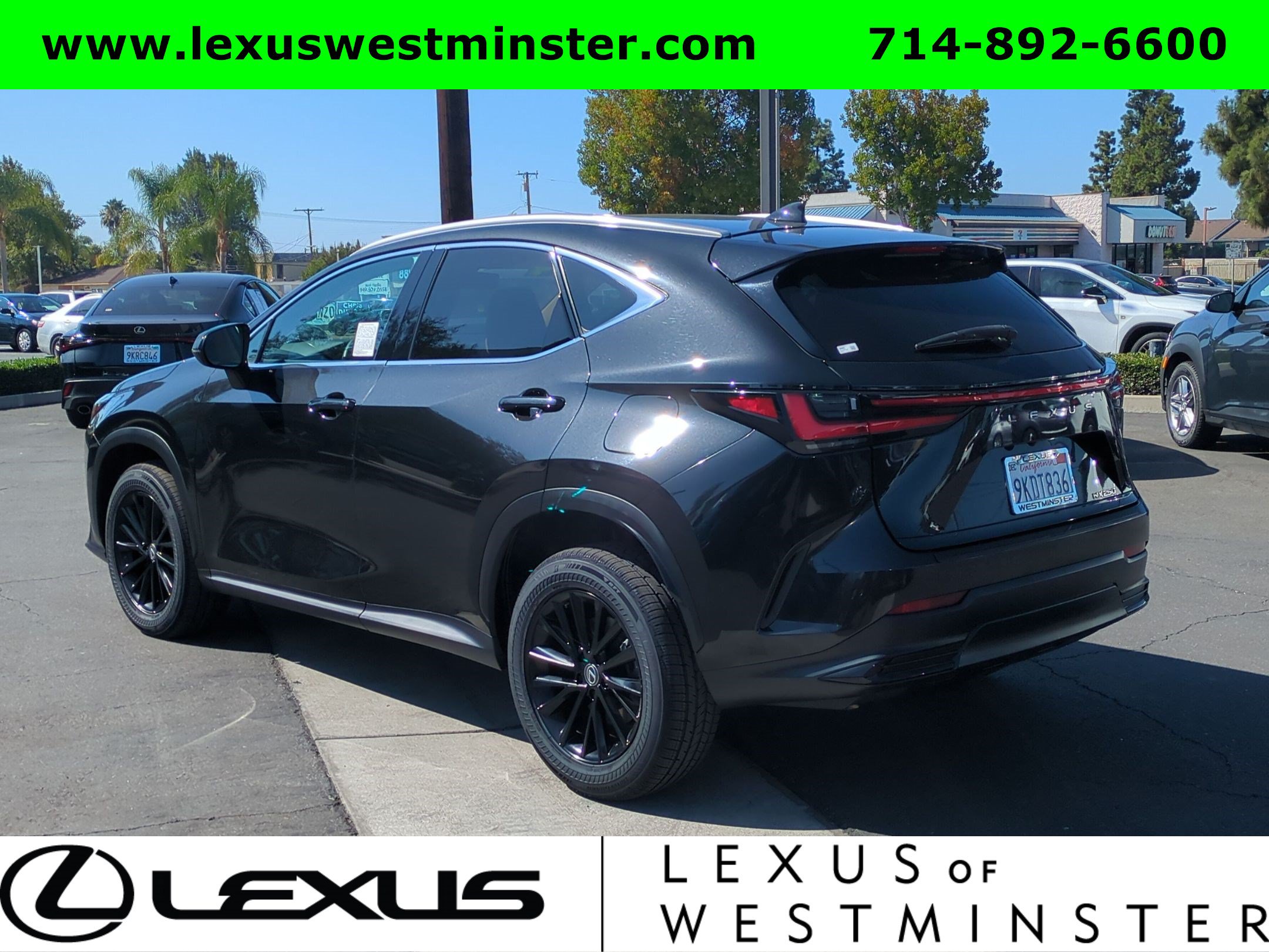 Certified 2024 Lexus NX 250 FWD image 11