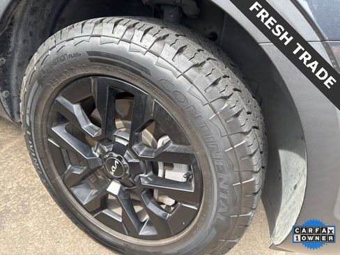 Used 2023 Kia Telluride SX Prestige X-Pro image 5