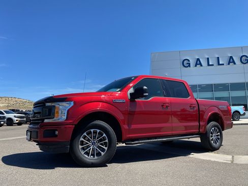 Used 2019 Ford F150 XLT w/ Equipment Group 302A Luxury AWD/4WD image 1