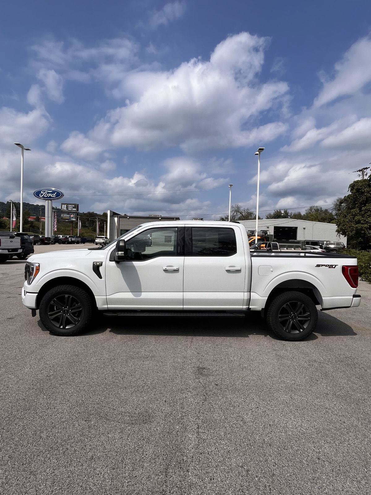 Used 2023 Ford F150 XLT w/ Equipment Group 302A High AWD/4WD image 7