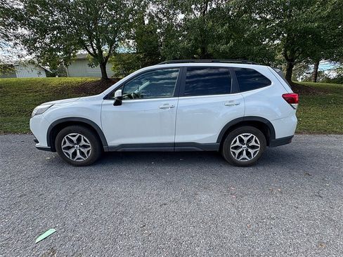 Used 2024 Subaru Forester Premium image 3