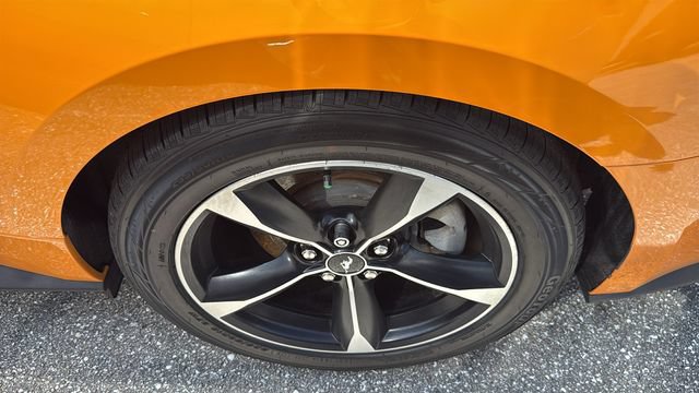 Used 2019 Ford Mustang Convertible RWD image 7