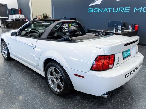 Used 2004 Ford Mustang Cobra RWD image 7
