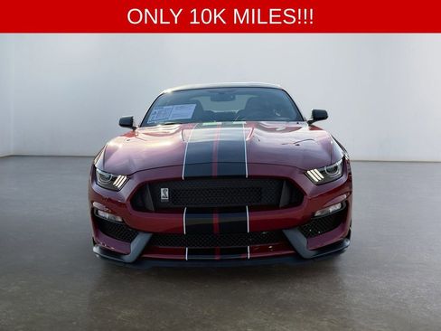 Used 2017 Ford Mustang Shelby GT350 RWD image 8
