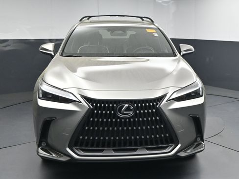 Used 2024 Lexus NX 350h AWD w/ Cold Area Package image 2