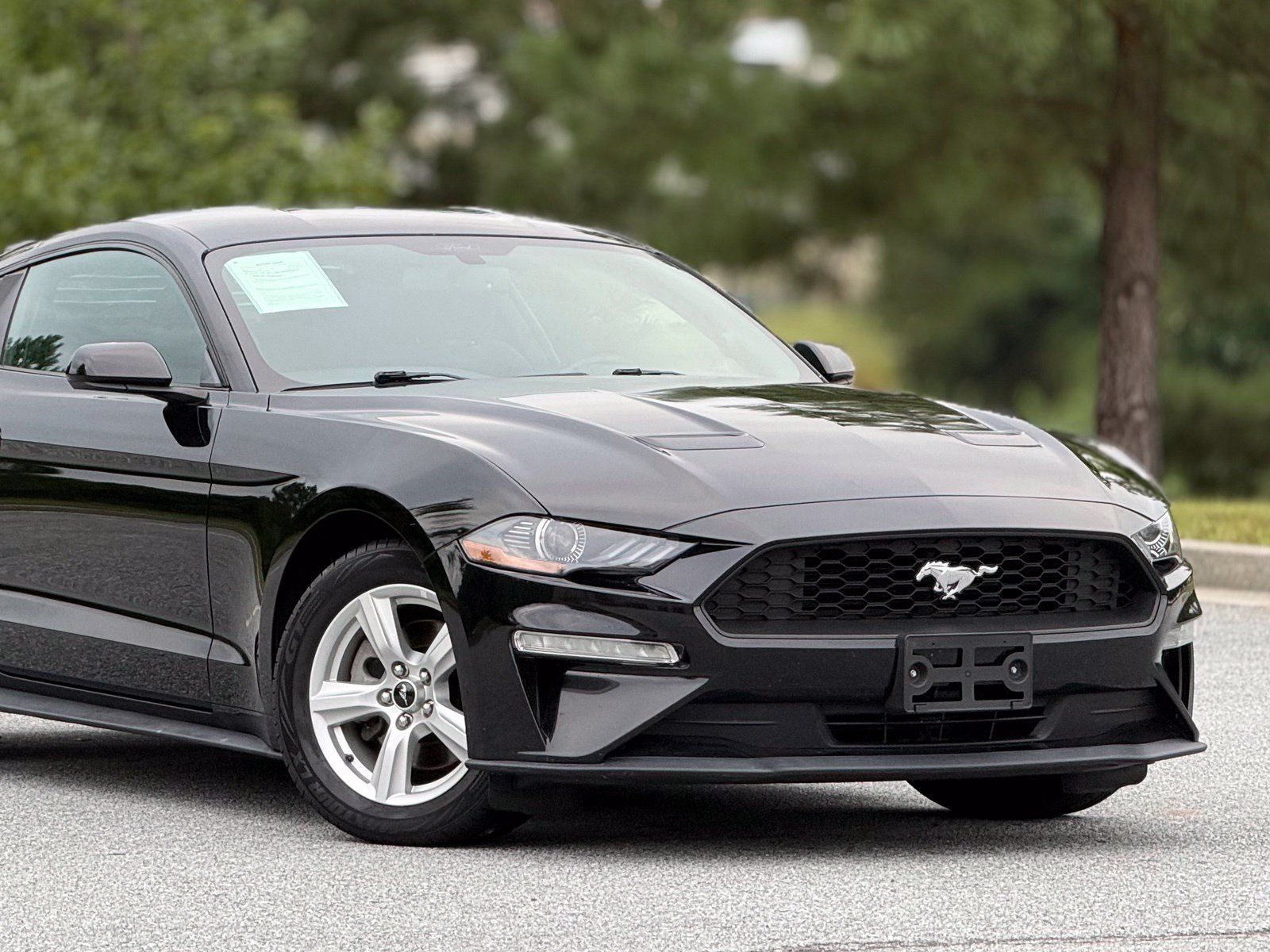 Used 2019 Ford Mustang Coupe RWD image 43