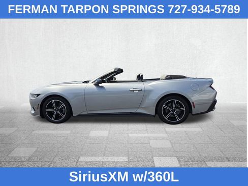 Used 2024 Ford Mustang Premium RWD image 7