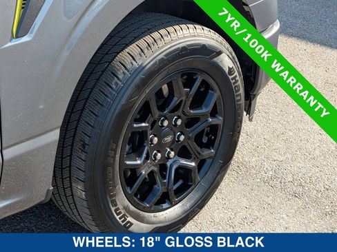 Certified 2025 Ford F150 STX RWD image 12
