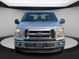 Used 2016 Ford F150 XLT image 3