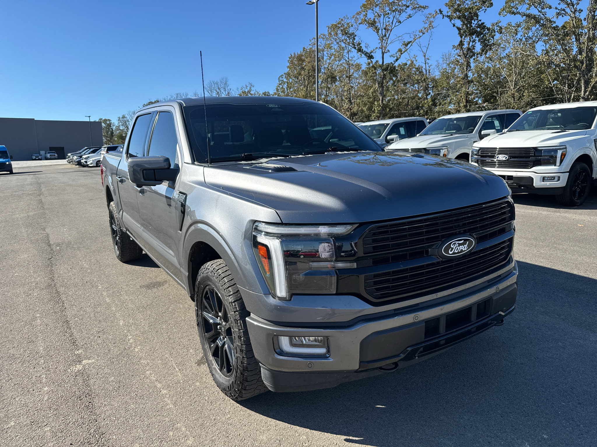 Used 2024 Ford F150 Platinum AWD/4WD image 3
