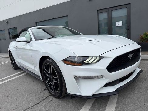 Used 2019 Ford Mustang Premium RWD image 15