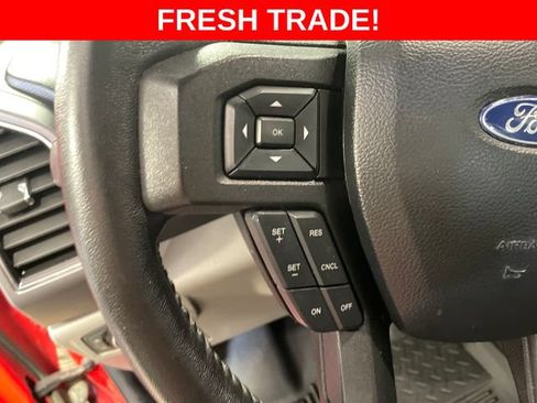 Used 2019 Ford F150 XLT w/ Equipment Group 302A Luxury AWD/4WD image 31