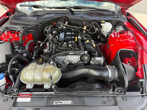 Used 2020 Ford Mustang Premium RWD image 15