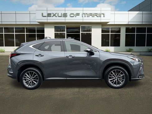 Used 2025 Lexus NX 350h AWD w/ Cold Area Package image 8