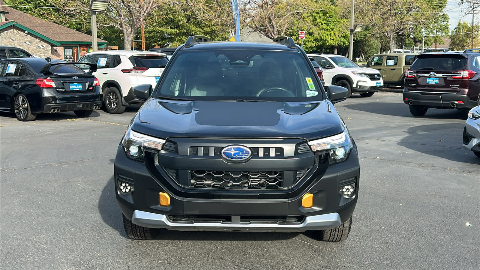 Certified 2026 Subaru Forester Wilderness AWD/4WD image 3