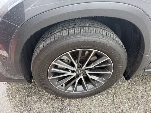 Used 2025 Lexus NX 350h AWD w/ Cold Area Package image 4