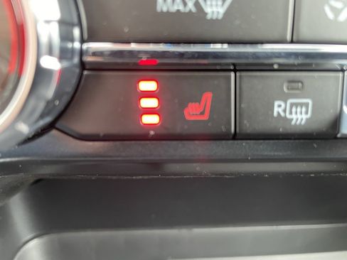 New 2025 Ford F150 XLT w/ Equipment Group 303A High image 11