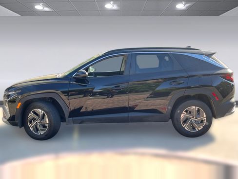 Used 2025 Hyundai Tucson Blue AWD/4WD image 2