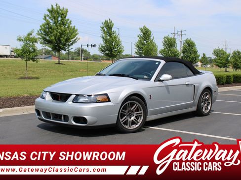 Used 2003 Ford Mustang Cobra RWD image 1