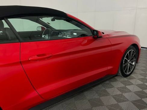 Used 2019 Ford Mustang Premium w/ Equipment Group 201A image 7