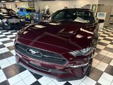 Used 2018 Ford Mustang Premium w/ Equipment Group 201A image 2