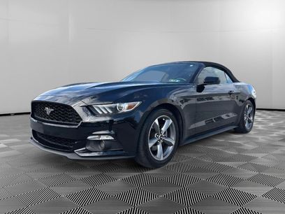 Used 2017 Ford Mustang Premium w/ Equipment Group 201A