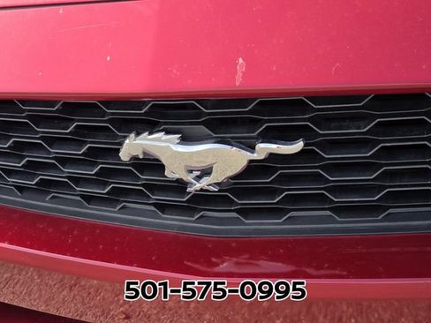 Used 2015 Ford Mustang Premium w/ Equipment Group 201A RWD image 11
