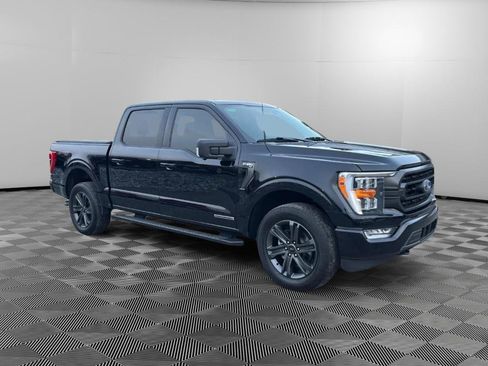 Used 2023 Ford F150 XLT w/ Equipment Group 302A High image 2