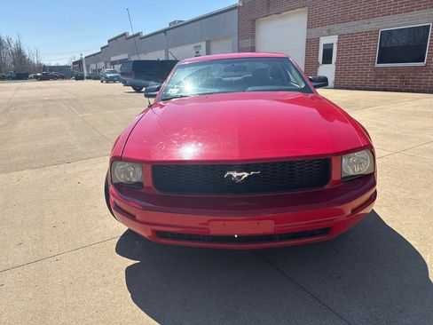 Used 2006 Ford Mustang Coupe image 2