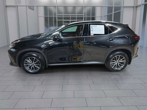 Used 2025 Lexus NX 350 AWD w/ Accessory Package (2T) image 5