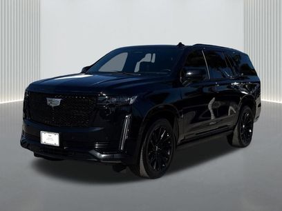 Certified 2024 Cadillac Escalade Sport Platinum w/ LPO, ONYX Package