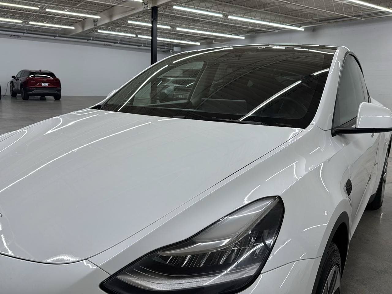 Used 2023 Tesla Model Y Long Range AWD/4WD image 2