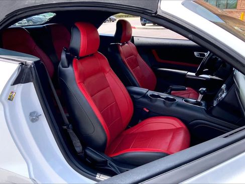 Used 2019 Ford Mustang GT Premium w/ Equipment Group 401A image 9