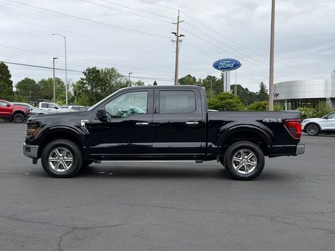 Used 2025 Ford F150 XLT w/ Equipment Group 301A Standard AWD/4WD image 6