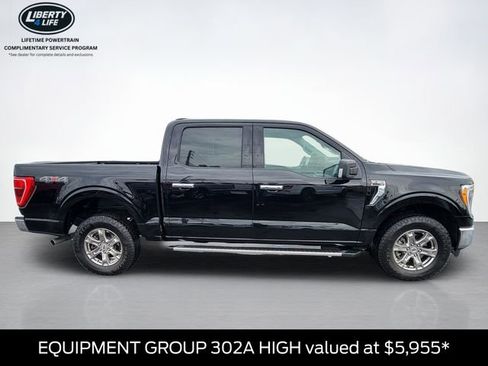 Certified 2023 Ford F150 XLT w/ Equipment Group 302A High image 2