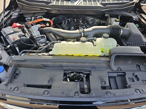 New 2025 Ford F150 XLT w/ Equipment Group 303A High image 33