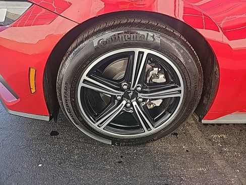 Used 2024 Ford Mustang Coupe image 8