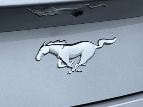 New 2025 Ford Mustang Ecoboost image 15