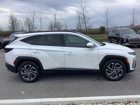 Used 2025 Hyundai Tucson Limited image 4