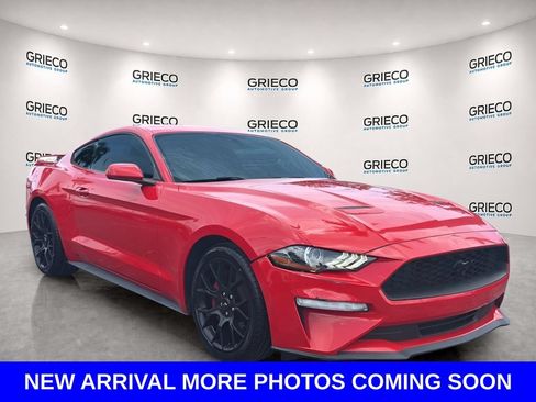 Used 2019 Ford Mustang Coupe w/ Ecoboost Performance Package RWD image 1