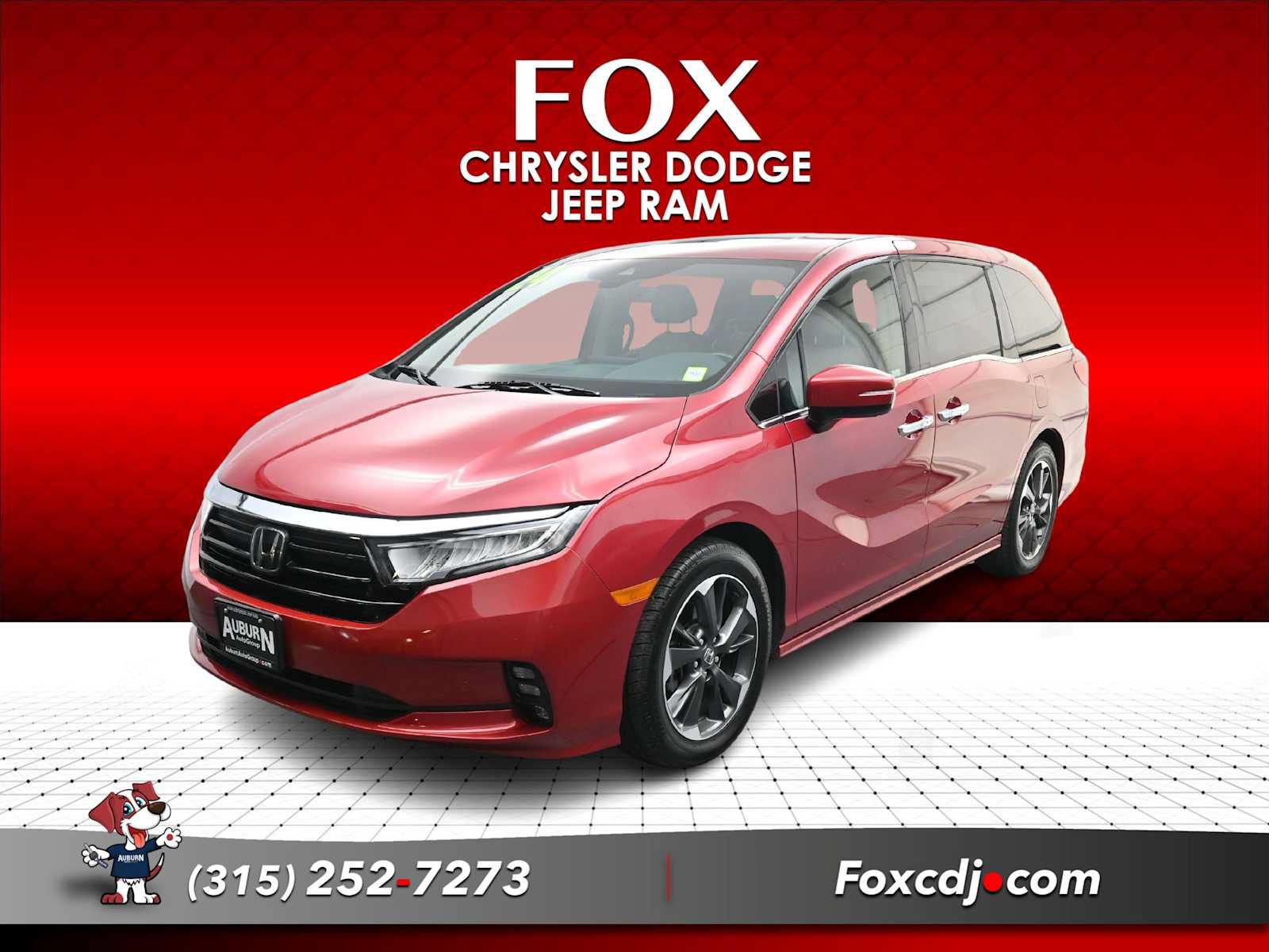 Used 2024 Honda Odyssey Elite image 1