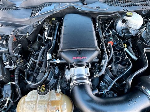 Used 2019 Ford Mustang GT Premium w/ Equipment Group 401A RWD image 29