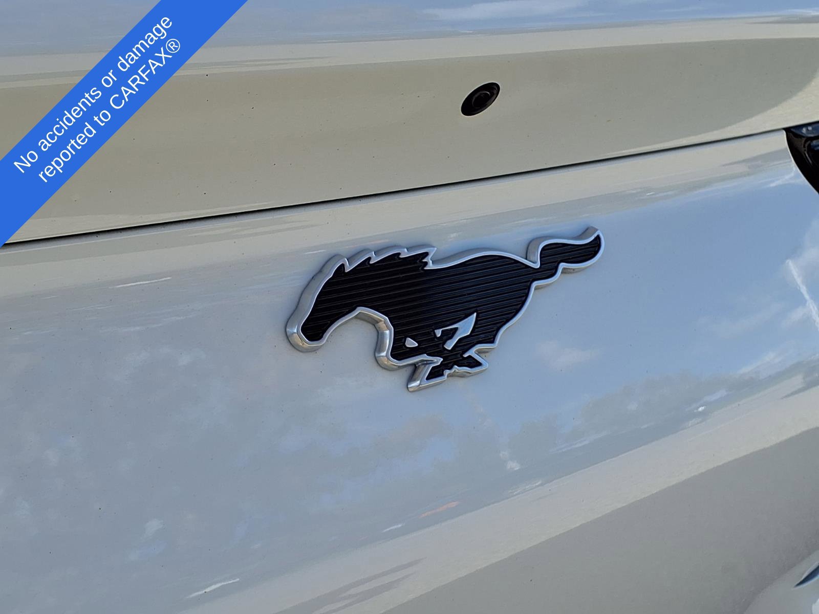 Used 2022 Ford Mustang Mach-E Premium AWD/4WD image 11