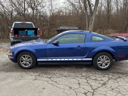 Used 2005 Ford Mustang Deluxe image 12