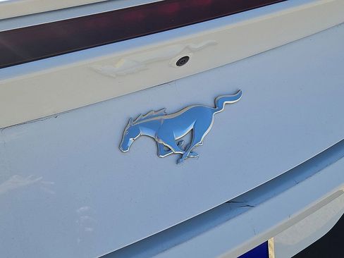 Used 2024 Ford Mustang Premium image 12