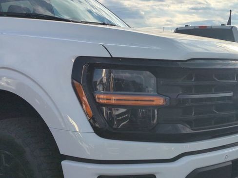 New 2025 Ford F150 XLT w/ Equipment Group 302A MID image 10