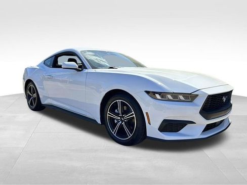 Used 2024 Ford Mustang Premium RWD image 5