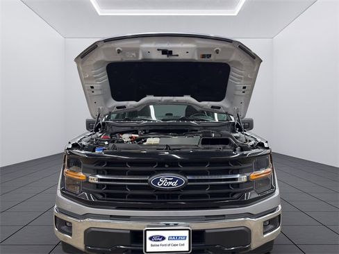 Used 2024 Ford F150 XLT w/ Mobile Office Package image 21