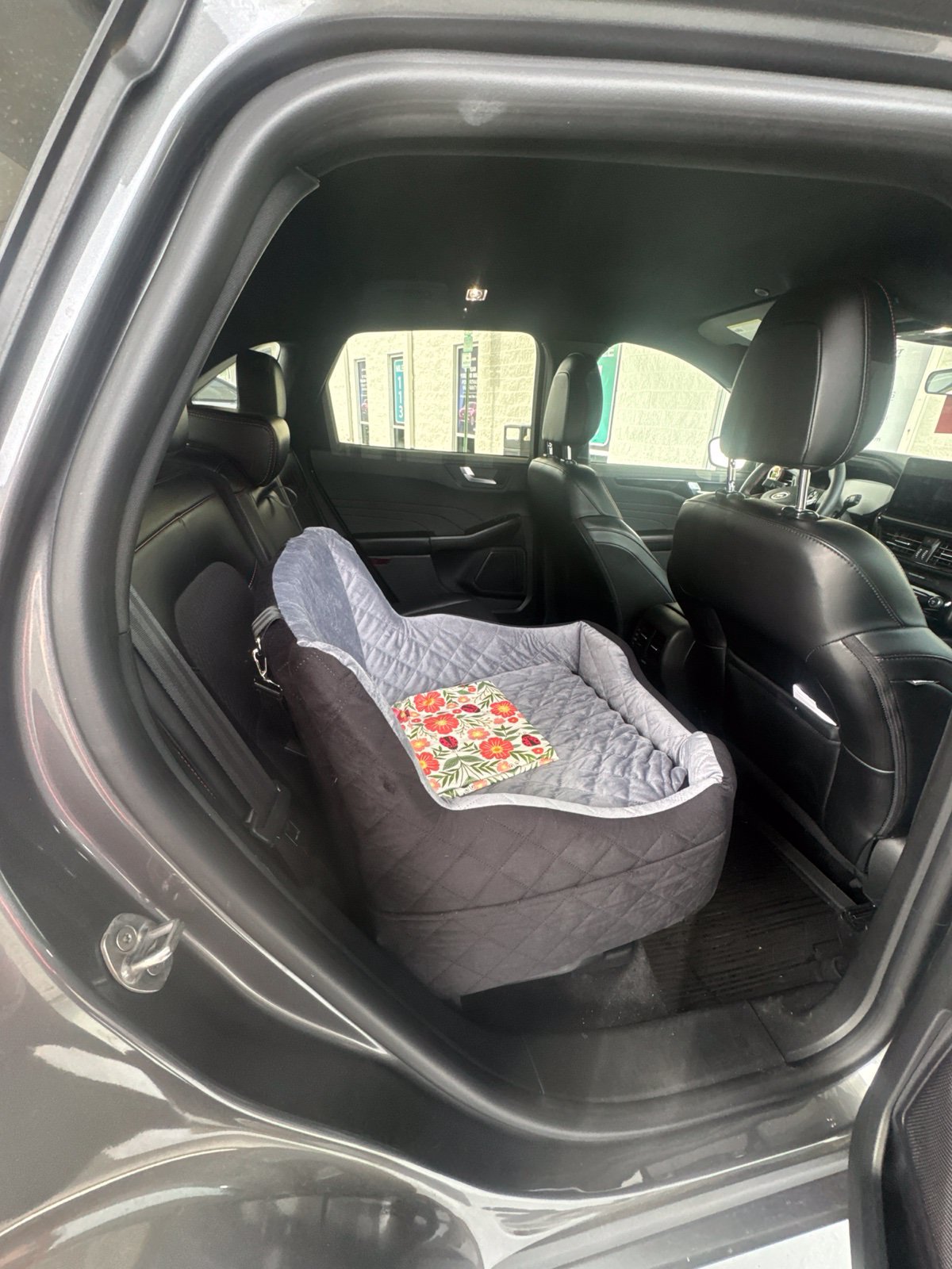 Used 2024 Ford Escape ST-Line w/ Tech Pack #1 FWD image 6