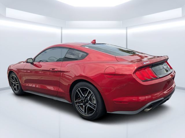 Used 2022 Ford Mustang Coupe w/ Equipment Group 101A RWD image 5